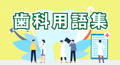 歯科用語集